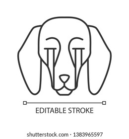 Beagle cute kawaii linear character. Thin line icon. Dog with suffering muzzle. Sad domestic doggie. Loudly crying animal with tears. Vector isolated outline illustration. Editable stroke