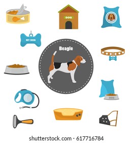 Beagle and different dog things color flat icons set for web and mobile design