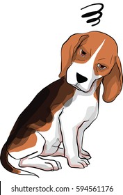 beagle dog  action