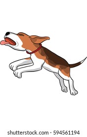 beagle dog  action