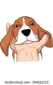 beagle dog  action