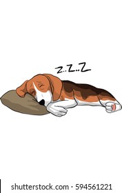 beagle dog  action