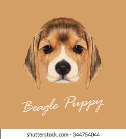 Beagle Dog Animal Cute Face Vector Stock Vector Royalty Free