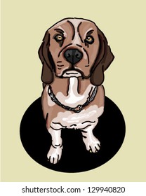 beagle dog begging for food sitting dog canine looking up
