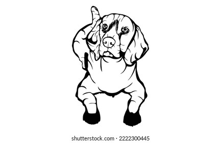 Beagle dog black and white hand drawn cartoon portrait, Sitting and looking forward, Dogs, Funny happy smiling pug, pets themed design element, icon, logo