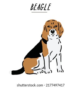 Beagle Perro raza Mano Dibujo Color Ilustración