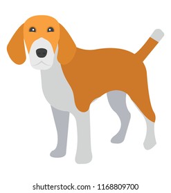 
Beagle, a dog breed of small hound
