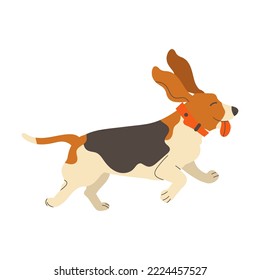 Beagle Dog Breed With Spotted Coat And Collar On Neck Running With Stick Out Tongue Vector Illustration