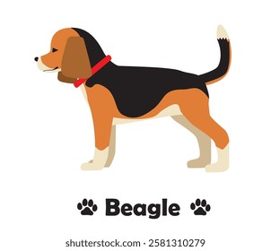 Beagle dog, flat design, simple illustration of a dog looking sideways