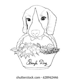 Beagle dog hand drawn sketch hold basket in the mouth.Vector illustration