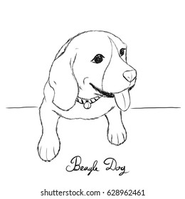 Beagle dog hand drawn sketch. Vector illustration