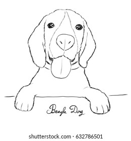 Beagle dog hand drawn sketch cute.Vector illustration