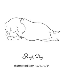 Beagle dog hand drawn sketch.Vector illustration
