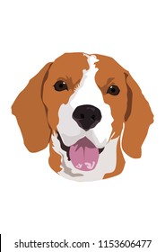 beagle dog head
