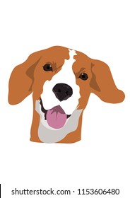 beagle dog head
