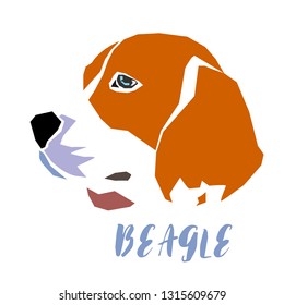 Beagle dog head on white background, vector illustration.