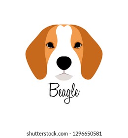 Beagle dog head vector illustration