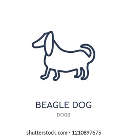 Beagle dog icon. Beagle dog linear symbol design from Dogs collection. Simple outline element vector illustration on white background.