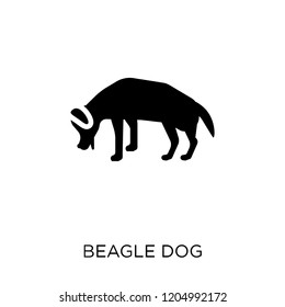 Beagle dog icon. Beagle dog symbol design from Dogs collection. Simple element vector illustration on white background.