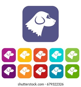 Beagle dog icons set vector illustration in flat style In colors red, blue, green and other