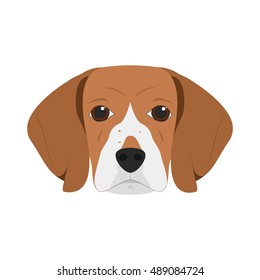 Beagle dog isolated on white background vector illustration