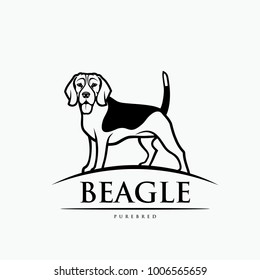 Beagle dog - isolated outlined vector illustration