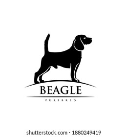 Beagle dog - isolated outlined vector illustration