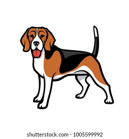 Beagle Dog - Isolated Vector Illustration