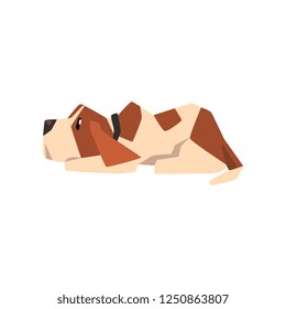 Beagle dog lying on the floor, cute funny animal cartoon character vector Illustration on a white background
