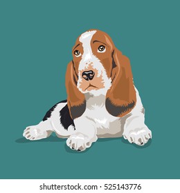 beagle dog at one color background
