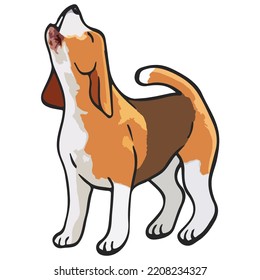 Beagle Dog Pet Colored Drawing