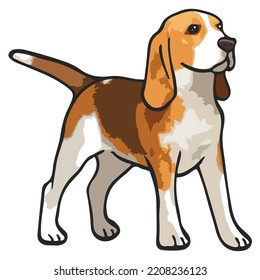 Beagle Dog Pet Colored Drawing