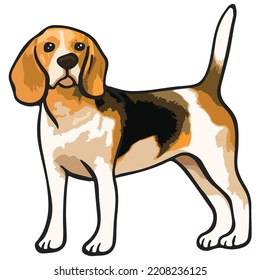 Beagle Dog Pet Colored Drawing