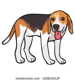 Beagle Dog Pet Colored Drawing