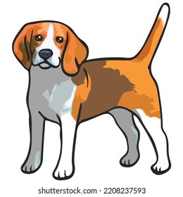 Beagle Dog Pet Colored Drawing