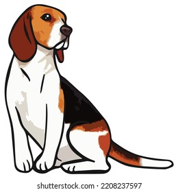 Beagle Dog Pet Colored Drawing