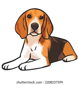 Beagle Dog Pet Colored Drawing