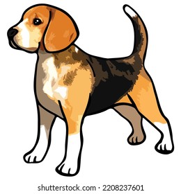 Beagle Dog Pet Colored Drawing