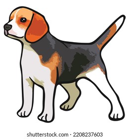 Beagle Dog Pet Colored Drawing