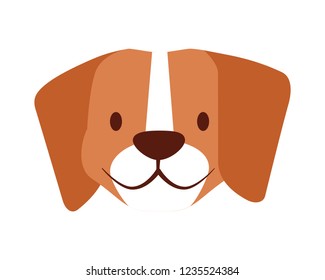 beagle dog pet on white background