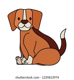beagle dog pet on white background