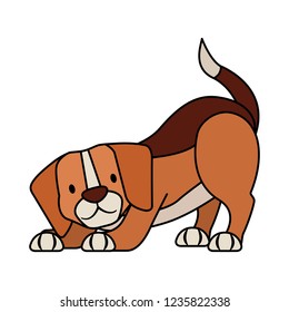 beagle dog pet on white background