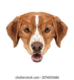 Beagle dog polygonal design, low polygon type graphic design, detail object