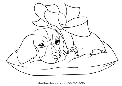  Beagle dog present for birthday or anniversary, wearing a red ribbon on back, black and white vector illustration in a cartoon style for a coloring book