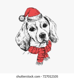 Beagle dog in Santa Claus hat. Christmas card. 2018
