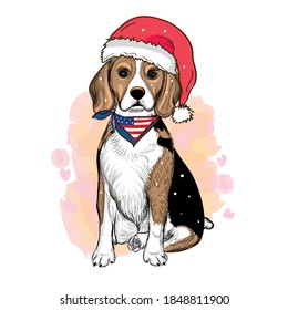 Beagle dog in santa hat. Dog with usa bandana. Wall stickers. Sticker on the wall.	