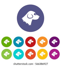 Beagle dog set icons in different colors isolated on white background