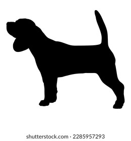 Beagle Dog silhouette. Dog breeds
