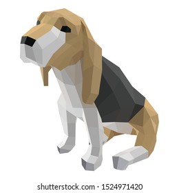 Beagle dog sitting on a white background.
