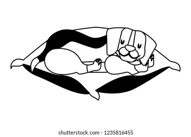 beagle dog sleeping on cushion